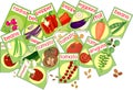 Open sachets with seeds of different vegetable plants Royalty Free Stock Photo